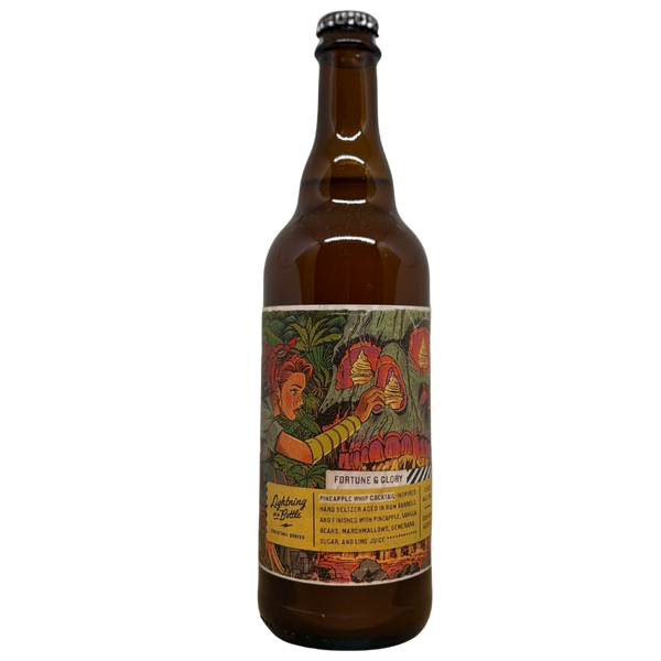 Bottle Logic - Fortune & Glory (2025) – barrel aged sour van Bottle Logic, 50 cl