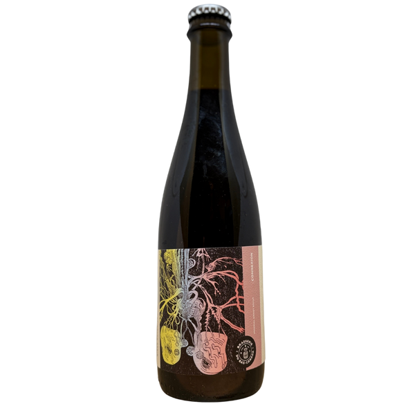Brasserie Du Bas - Connexion (2025) – stout van Brasserie Du Bas, fles 37,5 cl