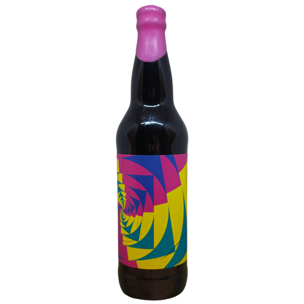 HOMES - 100XL – barrel aged stout van HOMES, fles 65 cl