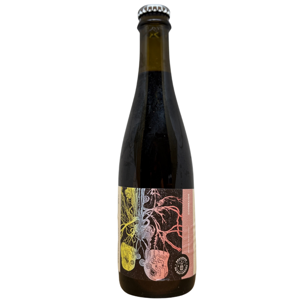 Brasserie Du Bas - Connexion (2026) – stout van Brasserie Du Bas, fles 37,5 cl