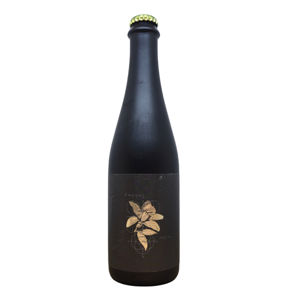 3 Sons  - Fractional BA Vanilla Bean Dream