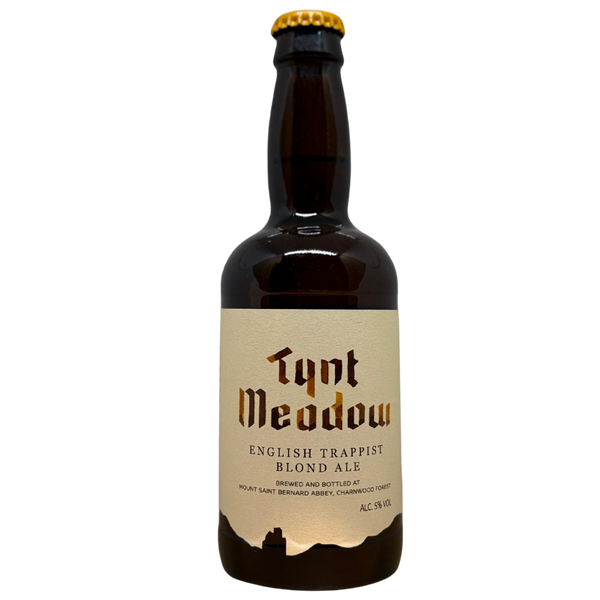 Mount St. Bernard - Tynt Meadow Blond