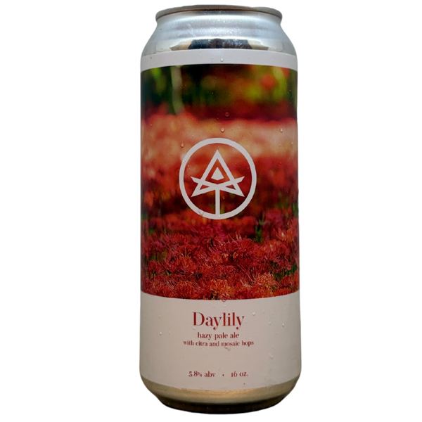 Autodidact - Daylily